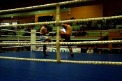 Kleszczow-2013