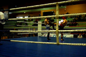 Kleszczow-2013