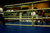 Kleszczow-2013