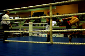 Kleszczow-2013