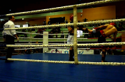 Kleszczow-2013
