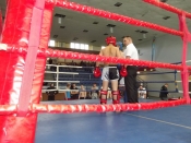 Gala gliwice 2013